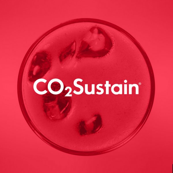 CO2 Sustain - Logo