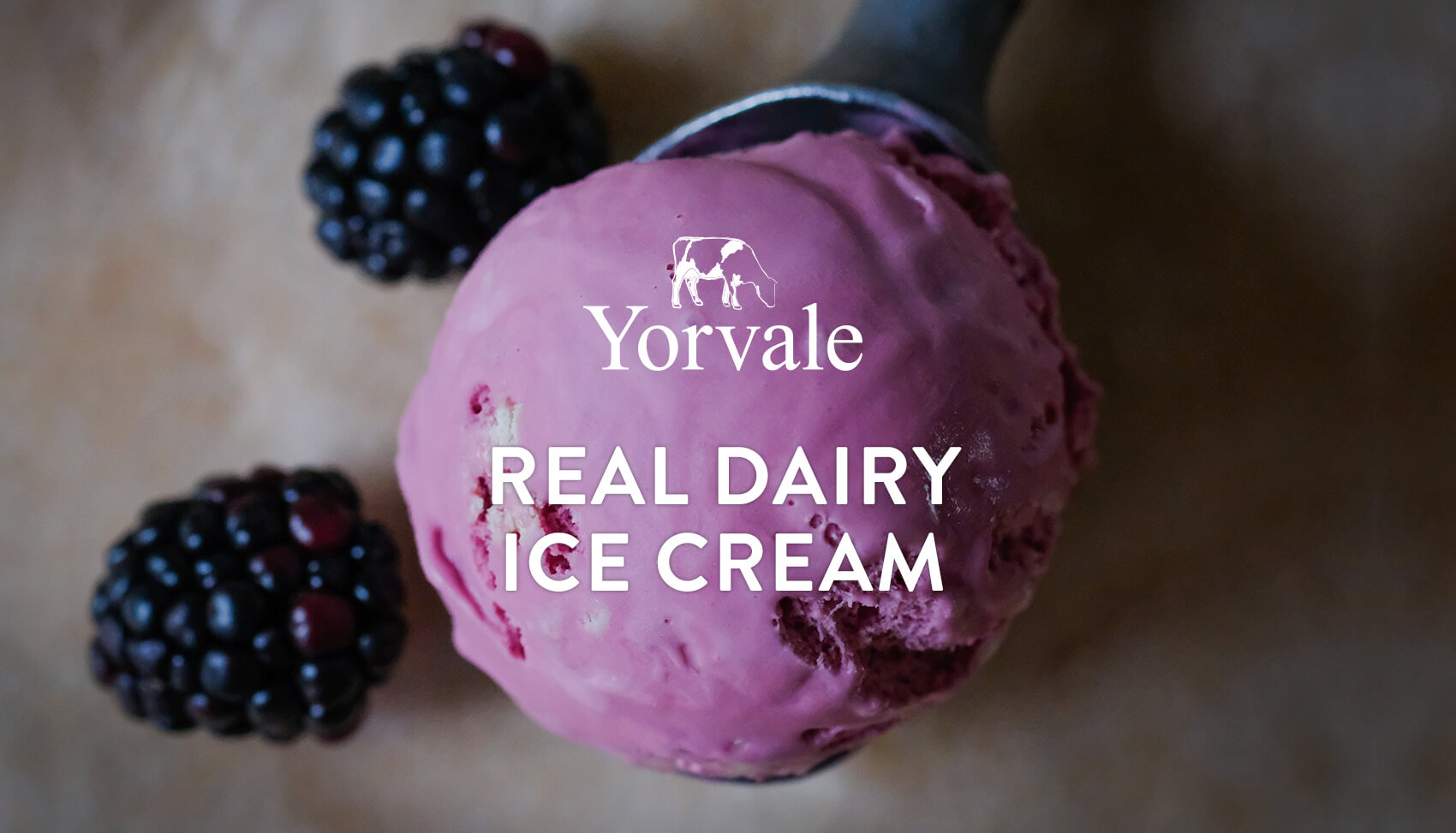 Tasty new website for Yorvale ice cream. Impulse York